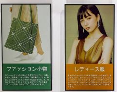 ȫӼЈ(chng)ߴ绯l(f)չڅ(sh)@